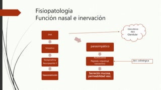 Fisiopatología
Función nasal e inervación
SNA
Simpático
Norepinefrina
Neuropeptido Y
Vasoconstricción
parasimpático
Acetilcolina
Péptido intestinal
vasoactivo
Secreción mucosa,
permeabilidad vasc.
-Vasculatura
-Act.
Glandular
Act. colinérgica
 
