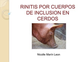RINITIS POR CUERPOS
  DE INCLUSION EN
       CERDOS




     Nicolle Marín Leon
 