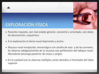 EXPLORACIÓN FÍSICA
 Paciente inquieto, con mal estado general, consiente y orientado, con datos
de desnutrición, caquéctico.
 A la exploración el dorso nasal deprimido y ancho.
 Mucosa nasal enrojecida, hemorrágica con atrofia de esta y de los cornetes.
Se observa adelgazamiento de la mucosa con perforación del tabique nasal.
Abundante descarga posterior de moco y sangre.
 En la cavidad oral se observa múltiples caries dentales e hinchazón del labio
superior
 