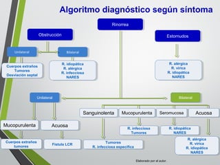 RinorreaRinorrea
ObstrucciónObstrucción EstornudosEstornudos
R. alérgica
R. vírica
R. idiopática
NARES
R. alérgica
R. vírica
R. idiopática
NARES
R. idiopática
R. alérgica
R. infecciosa
NARES
R. idiopática
R. alérgica
R. infecciosa
NARES
Cuerpos extraños
Tumores
Desviación septal
Cuerpos extraños
Tumores
Desviación septal
UnilateralUnilateral
AcuosaAcuosaMucopurulentaMucopurulenta
Fístula LCRFístula LCR
Cuerpos extraños
tumores
Cuerpos extraños
tumores
AcuosaAcuosaSanguinolentaSanguinolenta
R. alérgica
R. vírica
R. idiopática
NARES
R. alérgica
R. vírica
R. idiopática
NARES
R. idiopática
NARES
R. idiopática
NARES
SeromucosaSeromucosaMucopurulentaMucopurulenta
BilateralBilateral
UnilateralUnilateral BilateralBilateral
R. infecciosa
Tumores
R. infecciosa
Tumores
Tumores
R. infecciosa específica
Tumores
R. infecciosa específica
Algoritmo diagnóstico según síntoma
Elaborado por el autor.
 