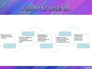 •Obstrucción del 
orificio de drenaje 
del seno •hipoxia y alteración 
del recambio 
gaseoso dentro del 
seno 
•vasodilatación, 
alteración de la 
función ciliar 
estancamiento de 
secreciones 
•aumento de las 
células caliciformes 
y aumento dela 
viscosidad del moco 
•Retención de 
secreciones 
•colonización 
•INFECCION 
 