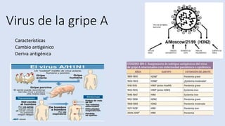 Virus de la gripe A
Características
Cambio antigénico
Deriva antigénica
 