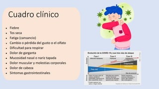 Cuadro clínico
● Fiebre
● Tos seca
● Fatiga (cansancio)
● Cambio o pérdida del gusto o el olfato
● Dificultad para respirar
● Dolor de garganta
● Mucosidad nasal o nariz tapada
● Dolor muscular y molestias corporales
● Dolor de cabeza
● Síntomas gastrointestinales
 