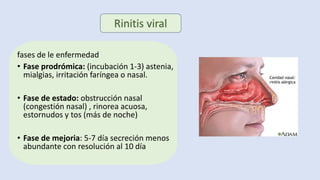 fases de le enfermedad
• Fase prodrómica: (incubación 1-3) astenia,
mialgias, irritación faríngea o nasal.
• Fase de estado: obstrucción nasal
(congestión nasal) , rinorea acuosa,
estornudos y tos (más de noche)
• Fase de mejoria: 5-7 día secreción menos
abundante con resolución al 10 día
 