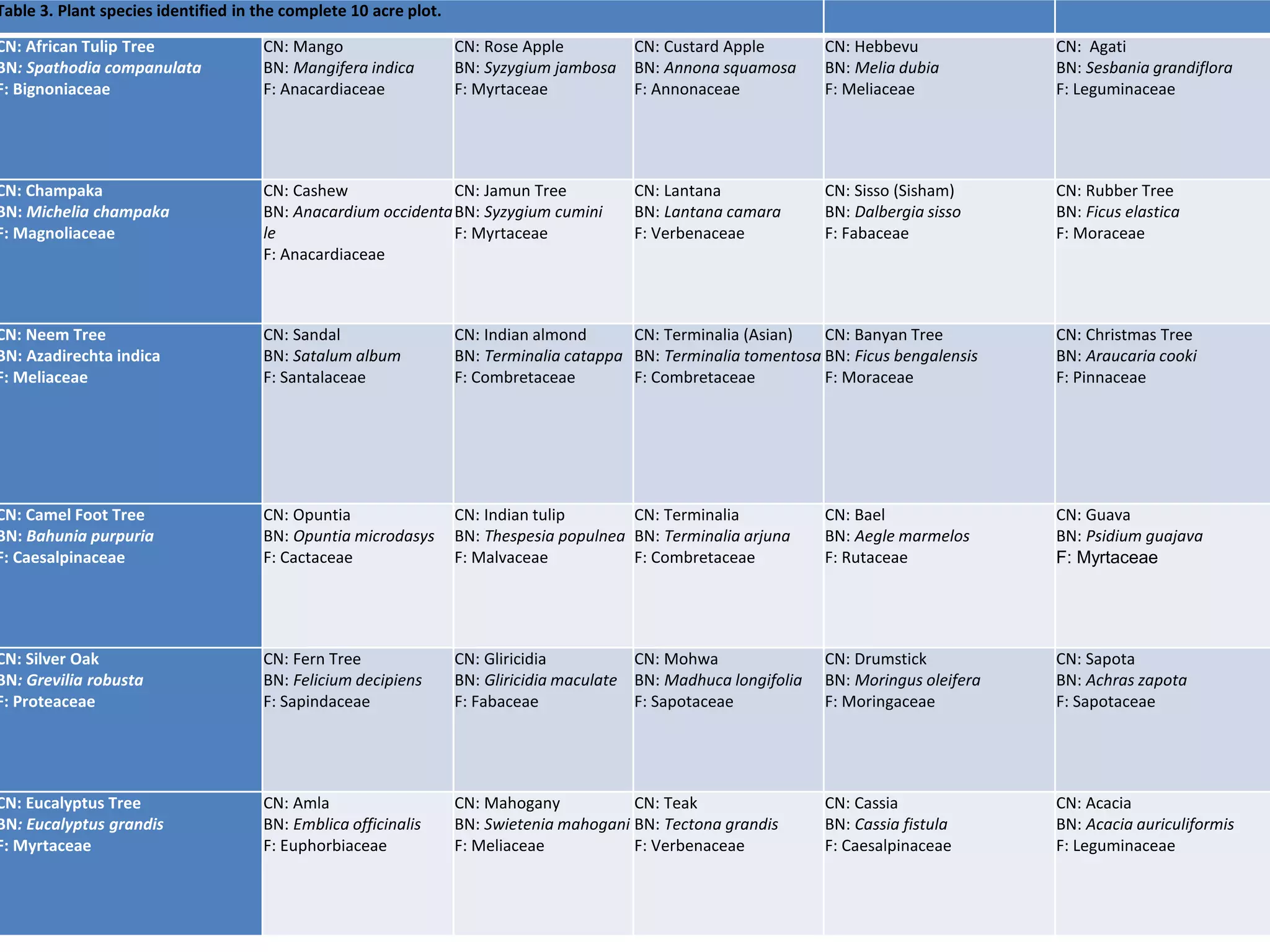 Table 3. Plant species identified in the complete 10 acre plot.
CN: African Tulip Tree
BN: Spathodia companulata
F: Bignoniaceae
CN: Mango
BN: Mangifera indica
F: Anacardiaceae
CN: Rose Apple
BN: Syzygium jambosa
F: Myrtaceae
CN: Custard Apple
BN: Annona squamosa
F: Annonaceae
CN: Hebbevu
BN: Melia dubia
F: Meliaceae
CN: Agati
BN: Sesbania grandiflora
F: Leguminaceae
CN: Champaka
BN: Michelia champaka
F: Magnoliaceae
CN: Cashew
BN: Anacardium occidenta
le
F: Anacardiaceae
CN: Jamun Tree
BN: Syzygium cumini
F: Myrtaceae
CN: Lantana
BN: Lantana camara
F: Verbenaceae
CN: Sisso (Sisham)
BN: Dalbergia sisso
F: Fabaceae
CN: Rubber Tree
BN: Ficus elastica
F: Moraceae
CN: Neem Tree
BN: Azadirechta indica
F: Meliaceae
CN: Sandal
BN: Satalum album
F: Santalaceae
CN: Indian almond
BN: Terminalia catappa
F: Combretaceae
CN: Terminalia (Asian)
BN: Terminalia tomentosa
F: Combretaceae
CN: Banyan Tree
BN: Ficus bengalensis
F: Moraceae
CN: Christmas Tree
BN: Araucaria cooki
F: Pinnaceae
CN: Camel Foot Tree
BN: Bahunia purpuria
F: Caesalpinaceae
CN: Opuntia
BN: Opuntia microdasys
F: Cactaceae
CN: Indian tulip
BN: Thespesia populnea
F: Malvaceae
CN: Terminalia
BN: Terminalia arjuna
F: Combretaceae
CN: Bael
BN: Aegle marmelos
F: Rutaceae
CN: Guava
BN: Psidium guajava
F: Myrtaceae
CN: Silver Oak
BN: Grevilia robusta
F: Proteaceae
CN: Fern Tree
BN: Felicium decipiens
F: Sapindaceae
CN: Gliricidia
BN: Gliricidia maculate
F: Fabaceae
CN: Mohwa
BN: Madhuca longifolia
F: Sapotaceae
CN: Drumstick
BN: Moringus oleifera
F: Moringaceae
CN: Sapota
BN: Achras zapota
F: Sapotaceae
CN: Eucalyptus Tree
BN: Eucalyptus grandis
F: Myrtaceae
CN: Amla
BN: Emblica officinalis
F: Euphorbiaceae
CN: Mahogany
BN: Swietenia mahogani
F: Meliaceae
CN: Teak
BN: Tectona grandis
F: Verbenaceae
CN: Cassia
BN: Cassia fistula
F: Caesalpinaceae
CN: Acacia
BN: Acacia auriculiformis
F: Leguminaceae
 