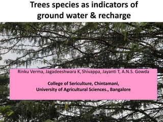 Trees species as indicators of
ground water & recharge
Rinku Verma, Jagadeeshwara K, Shivappa, Jayanti T, A.N.S. Gowda
College of Sericulture, Chintamani,
University of Agricultural Sciences., Bangalore
 