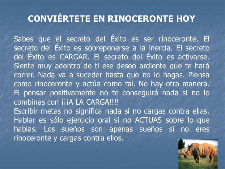 Rinoceronte Resumen Libro