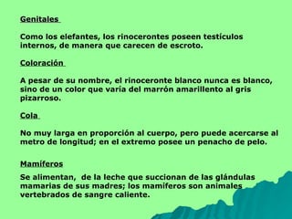 Genitales  Como los elefantes, los rinocerontes poseen testículos internos, de manera que carecen de escroto.  Coloración  A pesar de su nombre, el rinoceronte blanco nunca es blanco, sino de un color que varía del marrón amarillento al gris pizarroso.  Cola  No muy larga en proporción al cuerpo, pero puede acercarse al metro de longitud; en el extremo posee un penacho de pelo.  Mamíferos Se alimentan,  de la leche que succionan de las glándulas mamarias de sus madres; los mamíferos son animales vertebrados de sangre caliente. 27 años Longevidad 1 sola Crias de 17 a 18 meses Gestación Se contenta con cardos, retamas, zarzas y cañas. Alimentación Zonas muy ricas en agua, como zonas pantanosas, orillas de ríos, riberas cenagosas de lagos, boscajes surcados por riachuelos. Habitat De Africa oriental hasta la región del Chad y hasta Nigeria, y desde el Sahara al Africa meridional. Distribución Entre 2 y 2,5 toneladas. Peso 1,50 de alzada y 3,75 m de longitud, sin contar la cola de 70 cm. Talla Cuerpo extremadamente macizo, con las extremidades cortas con respecto a él. Presencia de cuernos nasales en número de 1 o 2. Tamaño grande o muy grande. Descripcion Diceros bicornis Nombre Binomial Rinoceróntidos Familia Perisodáctilos Orden amíferos 