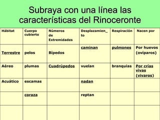 Subraya con una línea las características del Rinoceronte reptan coraza nadan escamas Acuático Por crías vivas (vivaros ) branquias vuelan Cuadrúpedos plumas Aéreo Por huevos (ovíparos) pulmones caminan Bípedos pelos Terrestre Nacen por Respiración Desplazamien_ to Números de Extremidades Cuerpo cubierto  Hábitat 