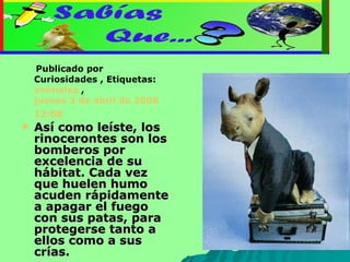 Publicado por Curiosidades , Etiquetas:  animales  ,  jueves 3 de abril de 2008   12:08   Así como leíste, los rinocerontes son los bomberos por excelencia de su hábitat. Cada vez que huelen humo acuden rápidamente a apagar el fuego con sus patas, para protegerse tanto a ellos como a sus crías.  
