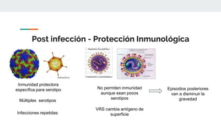 Post infección - Protección Inmunológica
Inmunidad protectora
específica para serotipo
Múltiples serotipos
Infecciones repetidas
No permiten inmunidad
aunque sean pocos
serotipos
VRS cambia antígeno de
superficie
Episodios posteriores
van a disminuir la
gravedad
 