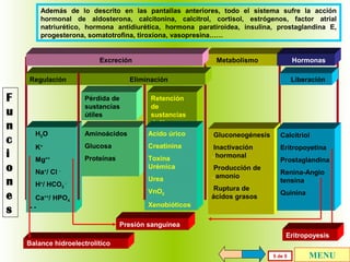 Además de lo descrito en las pantallas anteriores, todo el sistema sufre la acción
hormonal de aldosterona, calcitonina, calcitrol, cortisol, estrógenos, factor atrial
natriurético, hormona antidiurética, hormona paratiroidea, insulina, prostaglandina E,
progesterona, somatotrofina, tiroxiona, vasopresina……

Excreción
Regulación

F
u
n
c
i
o
n
e
s

Metabolismo

Hormonas

Eliminación
Pérdida de
sustancias
útiles

Liberación

Retención
de
sustancias
dañinas

H2O

Aminoácidos

Acido úrico

Gluconeogénesis

Calcitriol

K+

Glucosa

Creatinina

Eritropoyetina

Mg++

Proteínas

Toxina
Urémica

Inactivación
..hormonal

Na+/ Cl H+/ HCO3 Ca++/ HPO4
--

Urea
VnO2

Producción de
..amonio
Ruptura de
ácidos grasos

Prostaglandina
Renina-Angio
tensina
Quinina

Xenobióticos
Presión sanguínea
Eritropoyesis

Balance hidroelectrolítico
5 de 5

MENU

 
