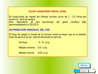FLUJO SANGUÍNEO RENAL (FSR).
En condiciones de reposo los riñones reciben cerca de 1 - 1,2 litros por
minuto (L /min) de sangre.
Esto representa un alto porcentaje del gasto cardíaco (Q),
aproximadamente el 20-25 %.
DISTRIBUCIÓN REGIONAL DEL FSR:
El flujo de sangre a través de la corteza renal es mayor que en la médula,
como se aprecia en los valores obtenidos en perros:
Corteza:

4 – 5 cc/g

Médula externa:

0.2 cc/g

Médula interna:

0.03 cc/g

Menú
Menú
33de 33
de

 