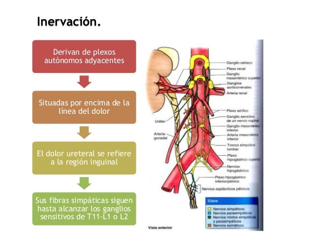 Los ejercicios a la osteocondrosis del departamento sheyno-de pecho
