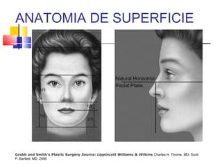 ANATOMIA DE SUPERFICIE 
Grabb and Smith's Plastic Surgery Source: Lippincott Williams & Wilkins Charles H. Thorne, MD; Scott 
P. Bartlett, MD; 2006 
 