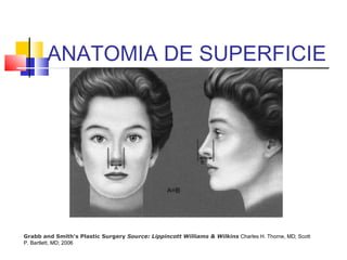 ANATOMIA DE SUPERFICIE 
Grabb and Smith's Plastic Surgery Source: Lippincott Williams & Wilkins Charles H. Thorne, MD; Scott 
P. Bartlett, MD; 2006 
 