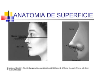 ANATOMIA DE SUPERFICIE 
Grabb and Smith's Plastic Surgery Source: Lippincott Williams & Wilkins Charles H. Thorne, MD; Scott 
P. Bartlett, MD; 2006 
 