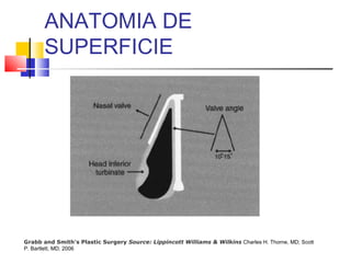 ANATOMIA DE 
SUPERFICIE 
Grabb and Smith's Plastic Surgery Source: Lippincott Williams & Wilkins Charles H. Thorne, MD; Scott 
P. Bartlett, MD; 2006 
 