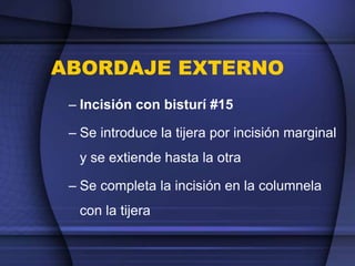 ABORDAJE EXTERNO
– Incisión con bisturí #15
– Se introduce la tijera por incisión marginal
y se extiende hasta la otra
– Se completa la incisión en la columnela
con la tijera
 