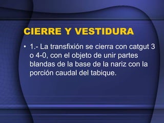 CIERRE Y VESTIDURA
• 1.- La transfixión se cierra con catgut 3
o 4-0, con el objeto de unir partes
blandas de la base de la nariz con la
porción caudal del tabique.
 