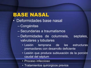 BASE NASAL
• Deformidades base nasal
– Congénitas
– Secundarias a traumatismos
– Deformidades de columnela, septales,
valvulares y lobulares
• Lesión temprana de las estructuras
premaxilares con desarrollo deficiente
• Lesión que produce subluxación de la porción
caudal del séptum
• Proceso infeccioso
• Tratamientos quirúrgicos previos
 