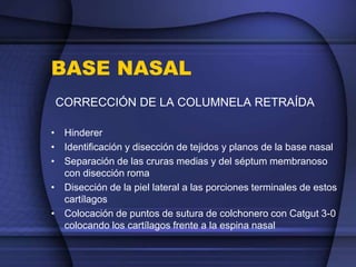 BASE NASAL
CORRECCIÓN DE LA COLUMNELA RETRAÍDA
• Hinderer
• Identificación y disección de tejidos y planos de la base nasal
• Separación de las cruras medias y del séptum membranoso
con disección roma
• Disección de la piel lateral a las porciones terminales de estos
cartílagos
• Colocación de puntos de sutura de colchonero con Catgut 3-0
colocando los cartílagos frente a la espina nasal
 