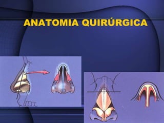 ANATOMIA QUIRÚRGICA
 