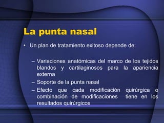 La punta nasal
• Un plan de tratamiento exitoso depende de:
– Variaciones anatómicas del marco de los tejidos
blandos y cartilaginosos para la apariencia
externa
– Soporte de la punta nasal
– Efecto que cada modificación quirúrgica o
combinación de modificaciones tiene en los
resultados quirúrgicos
 
