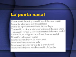 La punta nasal
 