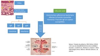 Cilios
Flujo de moco
(permeabilidad)
Moco
IgA
Lisozimas
IgG IgM
Interferón
Infección viral
-Incrementan adherencia bacteriana
-Afectan la función mucociliar
-Aumenta l Fracción IgE en sujetos
susceptibles
Mayor
prolife
ración
bacter
-iana
Nelson. Tratado de pediatría, 20th Edition (2016)
1-50. doi:10.1016/B978-84-9113-015-4.00380-4
Kumate J., Gutiérrez G., Muñoz O. y Santos J. 2016.
Infectología clínica. México: Méndez Editores. 18
edición
 