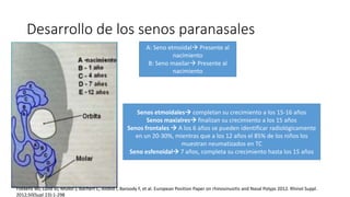 Desarrollo de los senos paranasales
A: Seno etmoidal Presente al
nacimiento
B: Seno maxilar Presente al
nacimiento
Senos etmoidales completan su crecimiento a los 15-16 años
Senos maxialres finalizan su crecimiento a los 15 años
Senos frontales  A los 6 años se pueden identificar radiológicamente
en un 20-30%, mientras que a los 12 años el 85% de los niños los
muestran neumatizados en TC
Seno esfenoidal 7 años, completa su crecimiento hasta los 15 años
Fokkens WJ, Lund VJ, Mullol J, Bachert C, Alobid I, Baroody F, et al. European Position Paper on rhinosinusitis and Nasal Polyps 2012. Rhinol Suppl.
2012;50(Supl 23):1-298
 