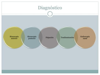 Diagnóstico
Rinoscopia
anterior
Rinoscopia
posterior
Palpación Trasiluminación
Endoscopia
nasal
 