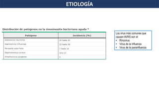 ETIOLOGÍA
Los virus más comunes que
causan AVRS son el
• Rinovirus
• Virus de la influenza
• Virus de la parainfluenza
 