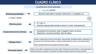 a menudo
empeora por
la noche
Síntomas persistentes
Síntomas graves
Empeoramiento de los síntomas
CUADRO CLÍNICO
3 presentaciones clínicas potenciales
Secreción nasal anterior o posterior, obstrucción y / o congestión, tos
> 10 pero < 30 días
serosa, mucoide o purulenta
• N: T ≥39 ° C
• Secreción nasal purulenta durante al menos 3 o 4 días y mala apariencia
• Exacerbación de la secreción nasal o congestión nasal o tos diurna.
• Reaparición o recurrencia de fiebre, dolor de cabeza.
Hallazgos físicos
Eritema o edema sobre el pómulo involucrados o área periorbital, sensibilidad mejilla o sensibilidad con
la percusión de los dientes superiores, y drenaje purulento dentro de la nariz o en la faringe posterior.
Dolor o la presión facial con la percusión de los senos nasales.
Rinoscopia anterior
Edema mucoso difuso, estrechamiento del meato medio, hipertrofia del cornete inferior y rinorrea abundante o
secreción purulenta. Los pólipos o la desviación del tabique se pueden observar de manera incidental
 