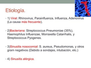 Etiología.
• 1) Viral: Rhinovirus, Parainfluenza, Influenza, Adenovirus

(La causa más frecuente).
• 2)Bacteriana: Streptococcus Pneumoniae (35%),

Haemophilus Influenzae, Morraxella Catarrhalis, y
Streptococcus Pyogenes.
• 3)Sinusitis nosocomial: S. aureus, Pseudomonas, y otros

gram negativos (Debido a sondajes, intubación, etc.)
• 4) Sinusitis alérgica.

 
