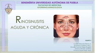 RINOSINUSITIS
AGUDA Y CRÓNICA
EQUIPO I
Cuatle Mercado Benny A.
Escribano Cadena Yali C.
Estudillo Fuentes Edgar Rogelio
Soriano Almorin Josefina
Vivanco Zayas Fredy Jesús
BENEMÉRITA UNIVERSIDAD AUTÓNOMA DE PUEBLA
FACULTAD DE MEDICINA
OTORRINOLARINGOLOGÍA
 