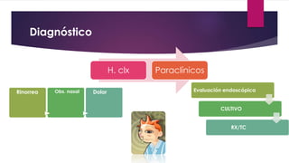 Diagnóstico
H. clx Paraclínicos
Rinorrea Obs. nasal Dolor Evaluación endoscópica
CULTIVO
RX/TC
 