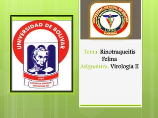 Tema: Rinotraqueitis
Felina
Asignatura: Virología II
 