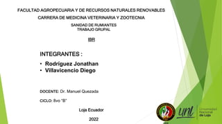 FACULTAD AGROPECUARIA Y DE RECURSOS NATURALES RENOVABLES
CARRERA DE MEDICINA VETERINARIA Y ZOOTECNIA
SANIDAD DE RUMIANTES
TRABAJO GRUPAL
IBR
INTEGRANTES :
• Rodríguez Jonathan
• Villavicencio Diego
DOCENTE: Dr. Manuel Quezada
CICLO: 8vo “B”
Loja Ecuador
2022
 