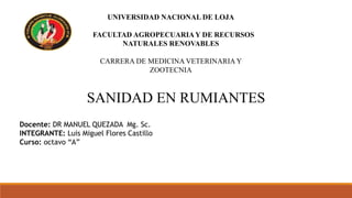 UNIVERSIDAD NACIONAL DE LOJA
FACULTAD AGROPECUARIAY DE RECURSOS
NATURALES RENOVABLES
CARRERA DE MEDICINA VETERINARIA Y
ZOOTECNIA
SANIDAD EN RUMIANTES
Docente: DR MANUEL QUEZADA Mg. Sc.
INTEGRANTE: Luis Miguel Flores Castillo
Curso: octavo “A”
 