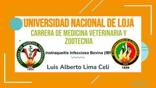 UNIVERSIDADNACIONALDELOJA
CARRERA DE MEDICINA VETERINARIA Y
ZOOTECNIA
Rinotraqueítis Infecciosa Bovina (IBR)
Luis Alberto Lima Celi
 