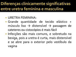  URETRA FEMININA:
 Grande quantidade de tecido elástico +
músculo liso → distensível → passagem de
cateteres ou cistocópios é mais fácil
 Infecções são mais comuns, e sobretudo na
bexiga, pois a uretra é curta, mais distensível
e se abre para o exterior pelo vestíbulo da
vagina
 
