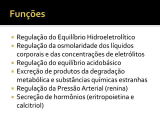  Regulação do Equilíbrio Hidroeletrolítico
 Regulação da osmolaridade dos líquidos
corporais e das concentrações de eletrólitos
 Regulação do equilíbrio acidobásico
 Excreção de produtos da degradação
metabólica e substâncias químicas estranhas
 Regulação da Pressão Arterial (renina)
 Secreção de hormônios (eritropoietina e
calcitriol)
 
