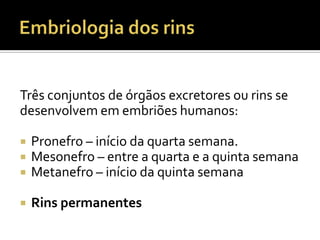 Três conjuntos de órgãos excretores ou rins se
desenvolvem em embriões humanos:
 Pronefro – início da quarta semana.
 Mesonefro – entre a quarta e a quinta semana
 Metanefro – início da quinta semana
 Rins permanentes
 