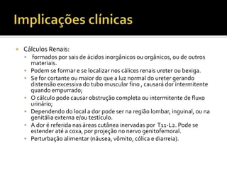  Cálculos Renais:
 formados por sais de ácidos inorgânicos ou orgânicos, ou de outros
materiais.
 Podem se formar e se localizar nos cálices renais ureter ou bexiga.
 Se for cortante ou maior do que a luz normal do ureter gerando
distensão excessiva do tubo muscular fino , causará dor intermitente
quando empurrado;
 O cálculo pode causar obstrução completa ou intermitente de fluxo
urinário;
 Dependendo do local a dor pode ser na região lombar, inguinal, ou na
genitália externa e/ou testículo.
 A dor é referida nas áreas cutânea inervadas por T11-L2. Pode se
estender até a coxa, por projeção no nervo genitofemoral.
 Perturbação alimentar (náusea, vômito, cólica e diarreia).
 