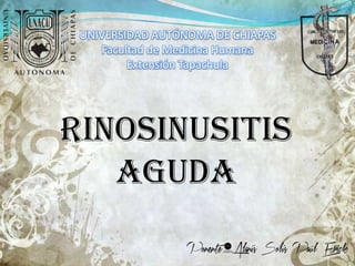 UNIVERSIDAD AUTÓNOMA DE CHIAPAS
    Facultad de Medicina Humana
         Extensión Tapachula




Rinosinusitis
   Aguda
 
