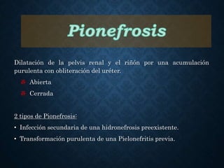 Dilatación de la pelvis renal y el riñón por una acumulación
purulenta con obliteración del uréter.
ⶡ Abierta
ⶡ Cerrada
2 tipos de Pionefrosis:
• Infección secundaria de una hidronefrosis preexistente.
• Transformación purulenta de una Pielonefritis previa.
 