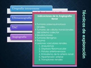 Urografía intravenosa
Ultrasonografía
TAC
Angiografía
Urografía intravenosa
 Inyección de 50cc de contraste
intravenoso
 La exploración debe incluir la
visualización de todo el sistema
colector
• Radiografías oblicuas: separa
calcificaciones superpuestas a las
siluetas renales.
• Radiografía en prono: cuando el
uréter no es completamente visible.
• Radiografía retrasada: cuando
existe retraso en el funcionamiento
de uno de los dos riñones.
Indicaciones de los Ultrasonidos
 Masa Renal: diferenciación de
masas solidas y liquidas
 Masas quísticas
 Enfermedad medica renal
 Hidronefrosis
 Patología fetal (anomalías del
tracto urinario)
 Anomalías congénitas
 Evaluación del espacio perirrenal
 Próstata: tumores vesicales
 Testículo
Indicaciones de una TAC renal
 Estadiaje de tumores
 Demostración de adenopatías
pélvicas
 Hemorragia retroperitoneal baja
 Fibrosis retroperitoneal baja
 Abscesos pélvicos
 Lipomatosis pélvicas
 Lesiones óseas de la pelvis menor
 Recidiva de tumores
Indicaciones de la Angiografía
Renal
 Tumores parenquimatosos
renales.
 Tumores de células transicionales
del sistema colector
 Seudotumores
 Tumores Benignos
 Trauma
 Lesiones vasculares renales
1. Aneurismas
2. Displasia fibromuscular
3. Fistulas arteriovenosas
4. Embolismo de la arteria renal
5. Hipertensión arterial
6. Transplanes renales
 
