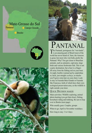 Intro | Relax | Sports | Cultural | Rainy | Events | Night | Gay | Restaurants | Street Food | Brazil | After
PANTANAL
The Pantanal, portuguese for “wet-lands”,
is an amazing part of Brazil most of the
world has never heard of. Sure, the Amazon
is great, but most who visit both, prefer the
Pantanal. Why? You get closer to Brazilian
animals, such as anteaters, capivaras, large
birds and various freshwater fish. This is not
a party destination, but a beer is a finger-
lift away from the fishing rod on your boat.
At night, bonfire warmed up by caipirinhas
or, heck, just straight cachaça, so macho
you’ll grow extra hair on your chest. Look
to stay in Fazenda Baia Grande or Fazenda
São Francisco, both of which have their own
ecological preservation area, so the wildlife is
right outside your door.
QUICK DECISION MAKERQ
Main activities: Wildlife exploring, animal
photo-hunting (you get that close), fishing,
horseback riding and trekking. Be sure to hop
over to Bonito (next page)
Who usually goes: Couples, groups
When to go: April to November weekdays.
How long to stay: 3 to 4 days
Brazilian Anteater
 