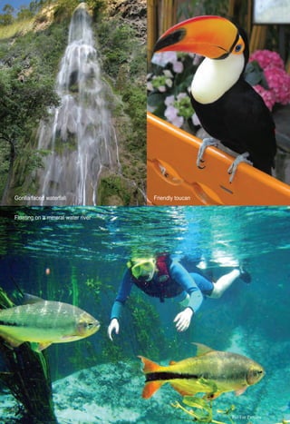 ter
Gorilla faced waterfall Friendly toucan
RL
Floating on a mineral water river
Rio For Partiers
 